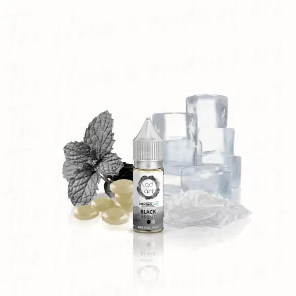 Lqd Art Salt - Menthol Art - Black Mint - 16,5Ml