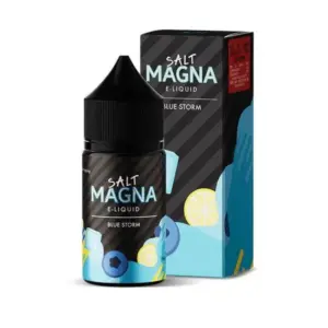 Magna Salt - Blue Storm Ice - 30 ml